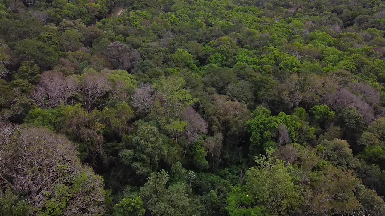 drone disparó argentina santa ana bosque con cruz en el fondo al mediodía con cielo azul paisaje nublado alrededor de santa ana