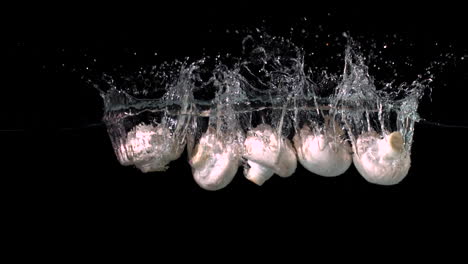 mushrooms falling in water on black background