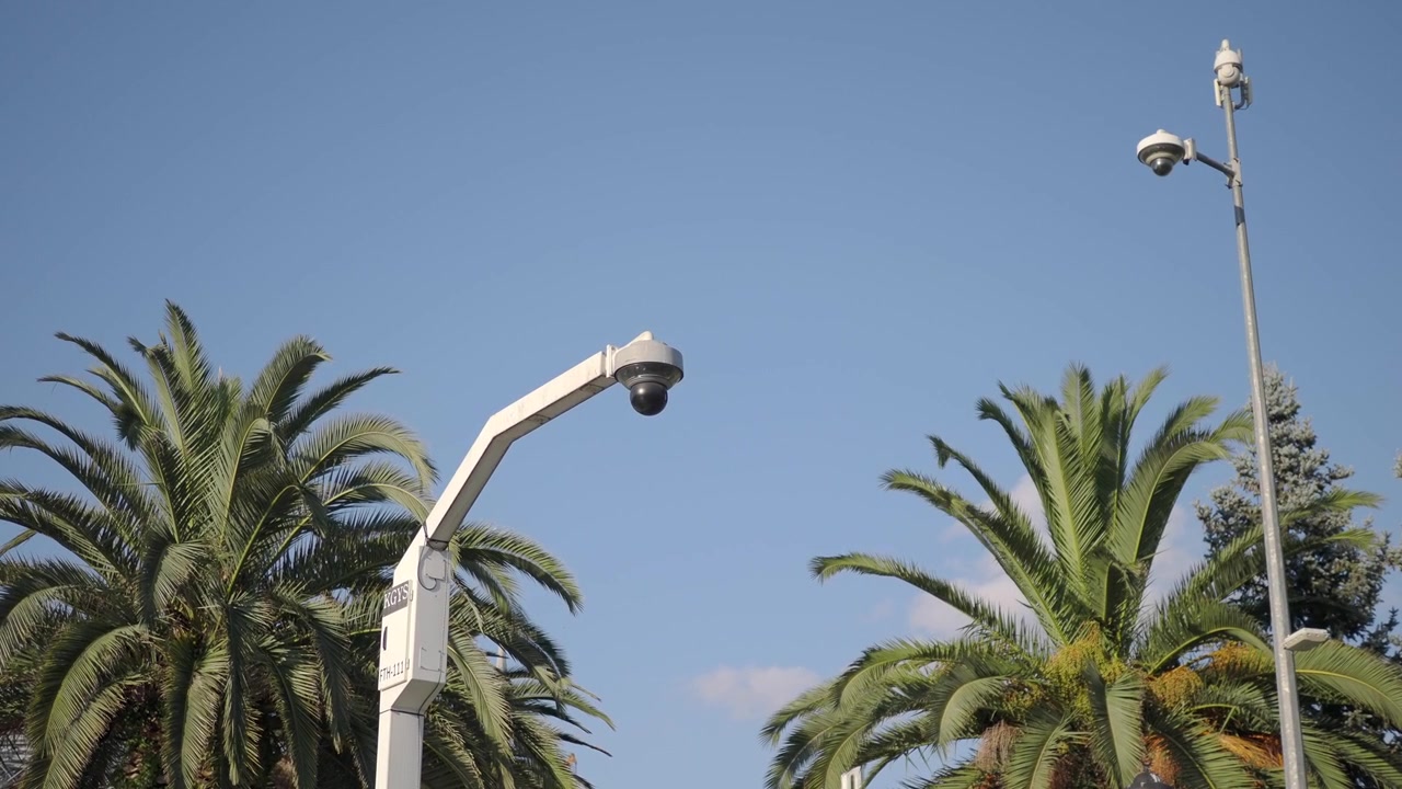 Telecamera di sicurezza montata su palo contro cielo blu e palme