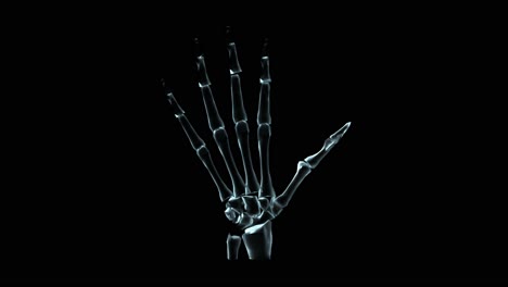 3D-Medical-Animation-Of-A-Human-Hand-Bones-Rotating-(Loop)