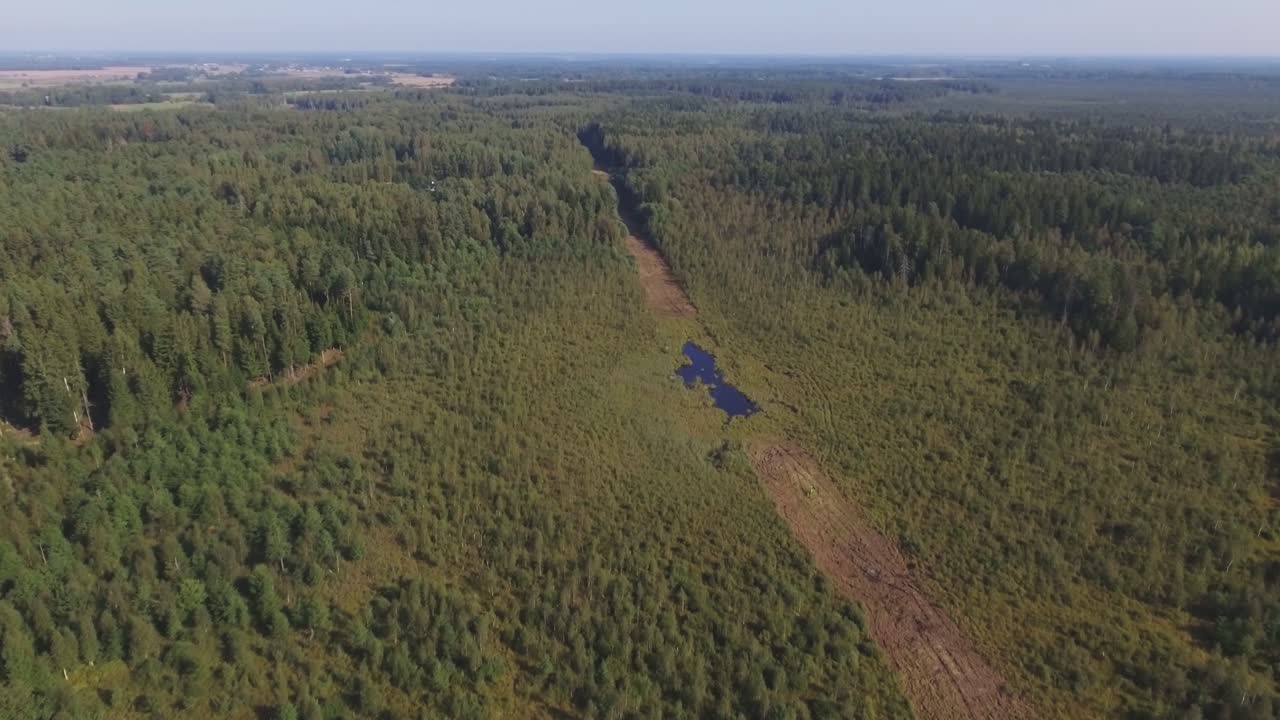 Flying Towards The Swamp Formed in the Felled Cut-Out Forest Section