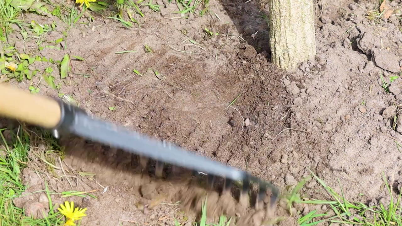 庭で地面を熊手でならすビデオ。