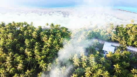 smoke coming out of an island forest drone shot