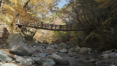 autumn foliage with a vine bridge and a river in the forest of shikoku in japan