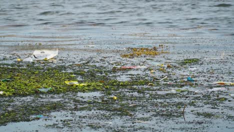 Contaminación-De-La-Playa