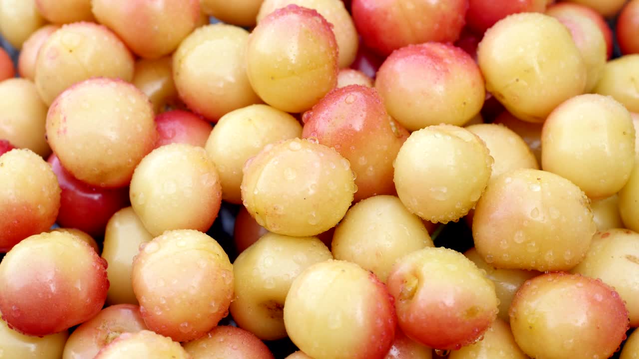 Ciliegie fresche e dolci rosse e gialle in gocce d'acqua, che ruotano in senso orario