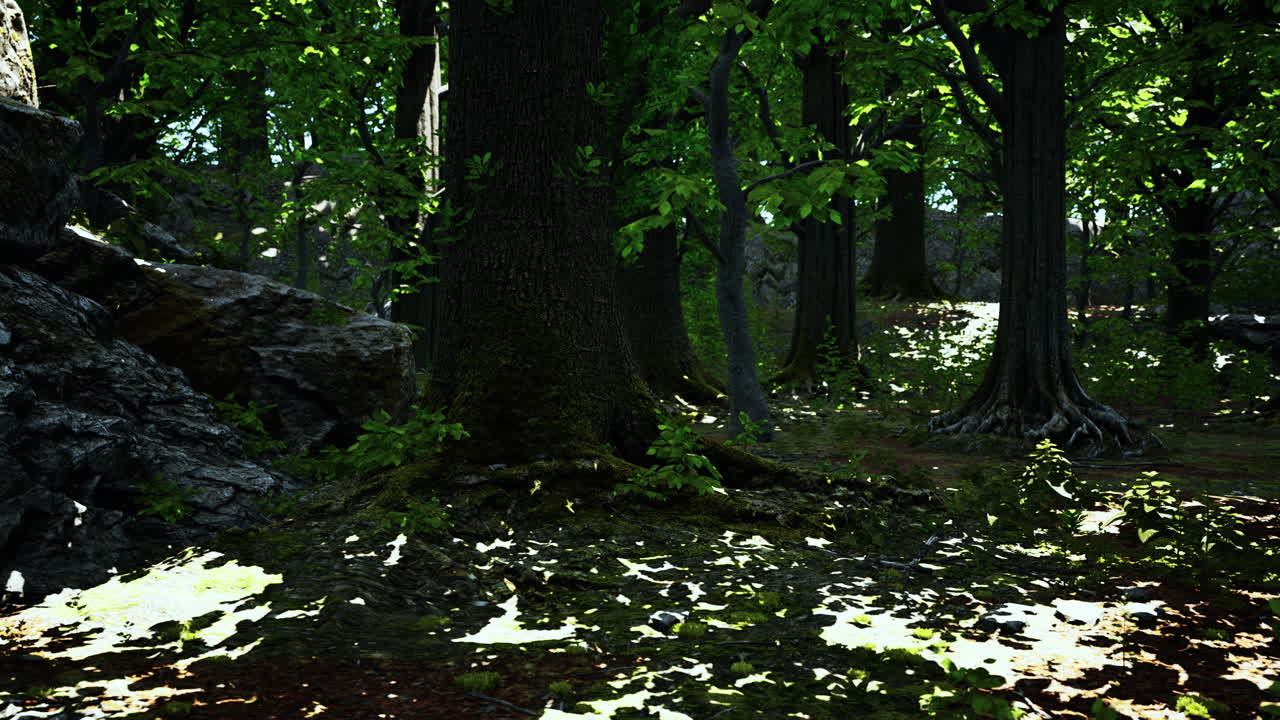 raíces de árboles con musgo verde en primavera