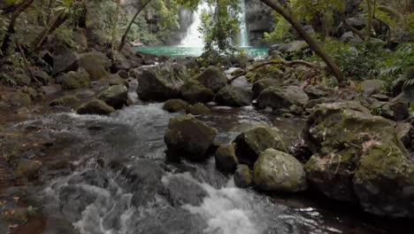 a river flowing in the mauritian forest
