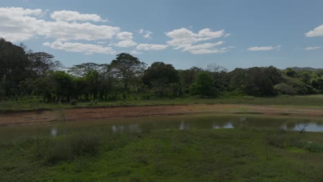 flying over river of aniana vargas national park in dominican republic