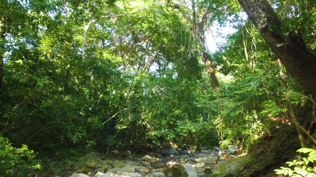 콜롬비아의 민카 국립공원의 작은 하천과 울창한 열대우림을 통해 아래에서 올라가는 드론, 남아메리카의 배 트레일