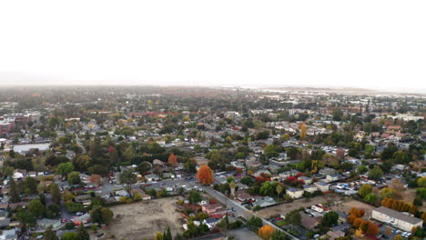 aerial view of a suburban neighborhood with autumn trees