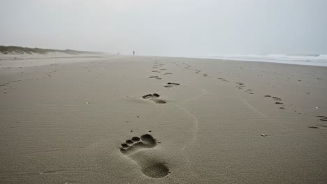 a serene journey: tranquil footprints leading along a peaceful beach shoreline under a misty sky evoking calmness and reflection