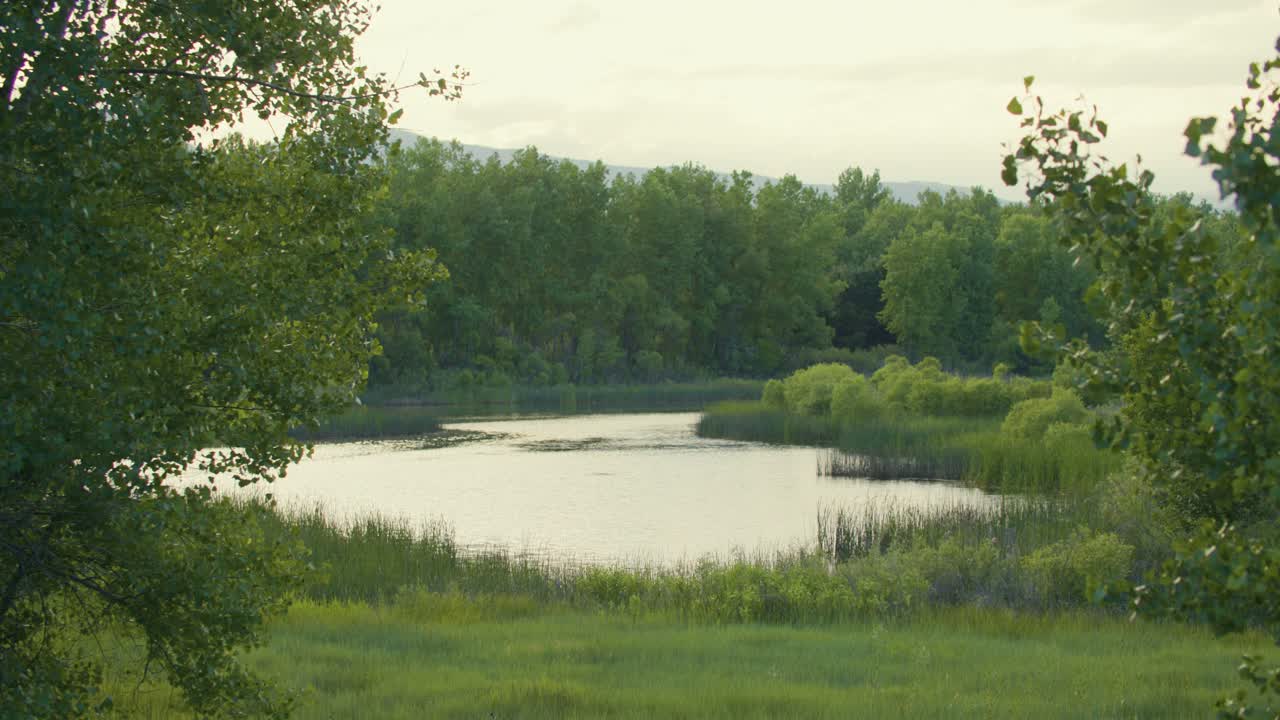 walden ponds es un área de humedales creada a partir de antiguos pozos de grava industriales en boulder, colorado, ee.