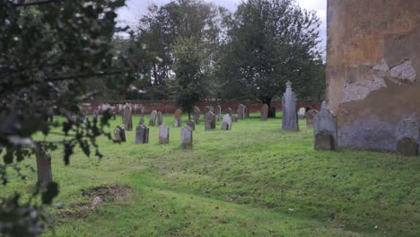 pan right from holly bush to show old graveyard with mossy headstones and corner of old church walls