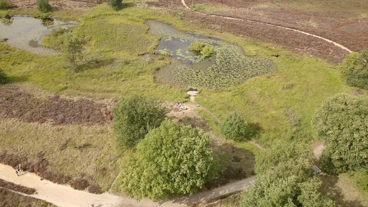 imágenes aéreas de drones de un pequeño lago en la reserva natural