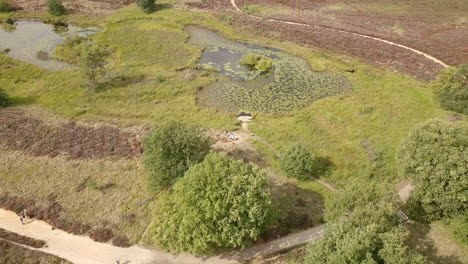 aerial-drone-footage-of-an-little-lake-in-nature-reserve