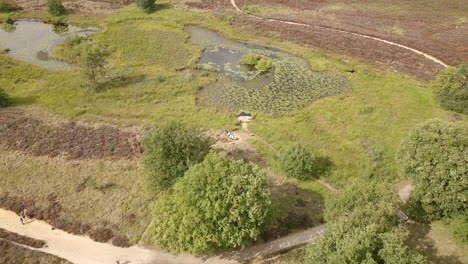 imágenes aéreas de drones de un pequeño lago en la reserva natural