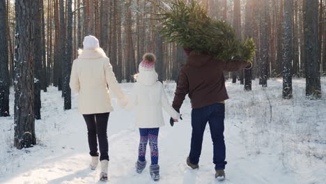 Eine-Glückliche-Familie-Mit-Einem-Kind-Geht-Durch-Einen-Verschneiten-Wald,-Der-Vater-Trägt-Ein-Weihnachtsgeschenk