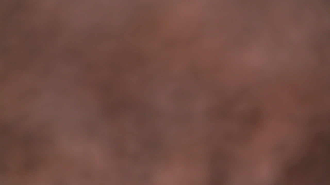 커피 콩을 닫습니다