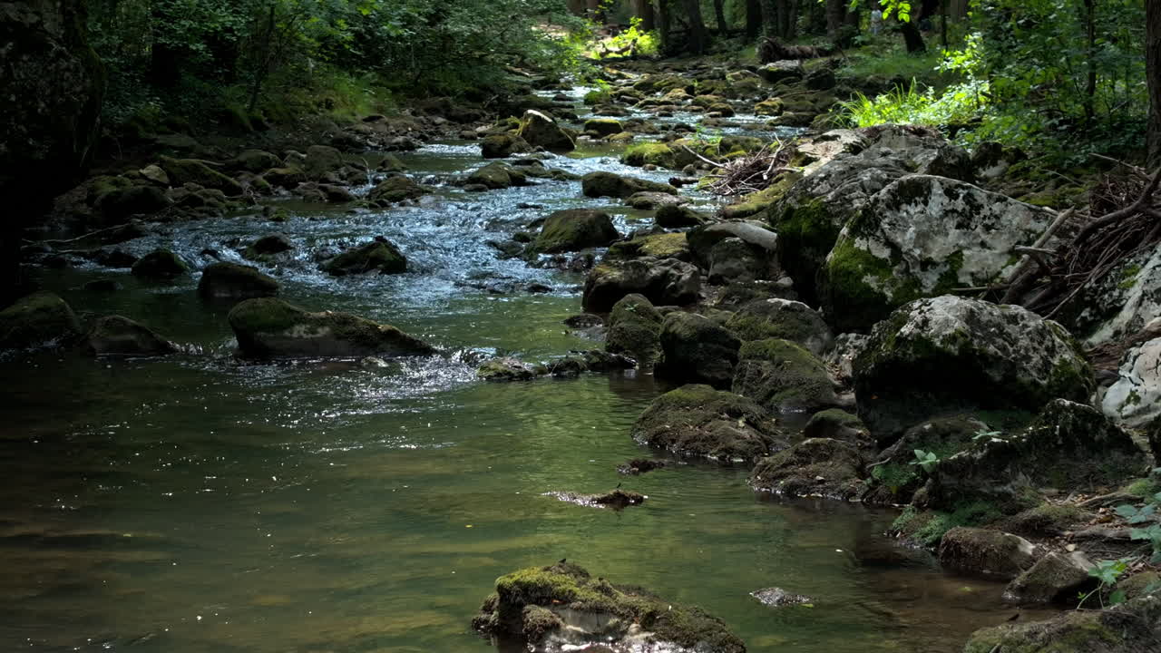 Aliran sungai mengalir melalui hutan