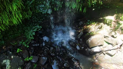 at the base of curtis falls, mt tamborine, rain forest creek, summers day queensland australia