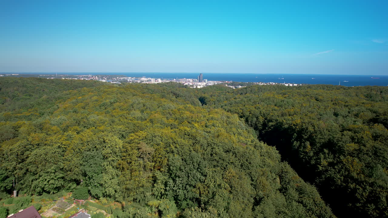 폴란드의 푸른 하늘과 함께  ⁇ 은 날에 gdynia 도시와 바다를 배경으로 숲 풍경 위로 향하는 드론 비행