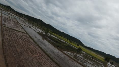 FPV-drone-on-side-flying-over-brown-rice-paddies-drenched-in-water-on-Thailand-farm-South-East-Asia