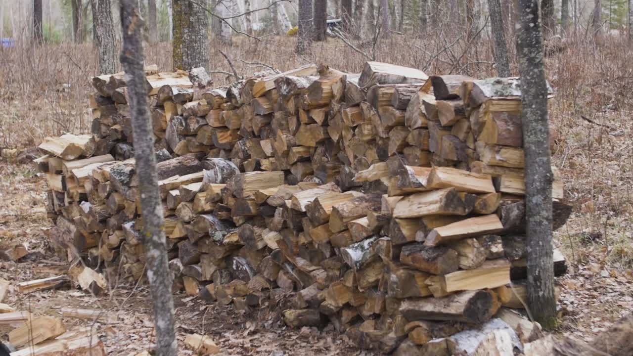 Large Wood Pile in Northern Minnesota