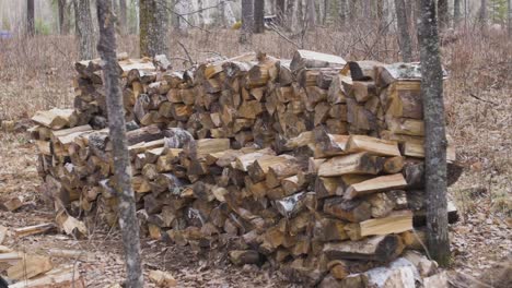 large wood pile in northern minnesota
