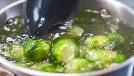 fresh green brussel sprouts close up.