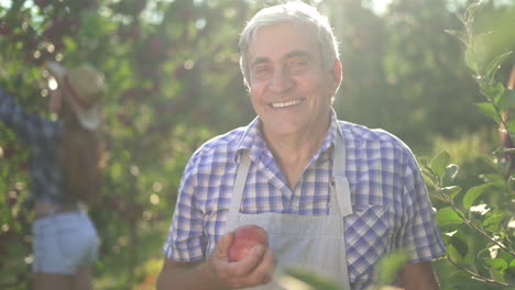 happy farmer holding a fresh fruit in an orchard