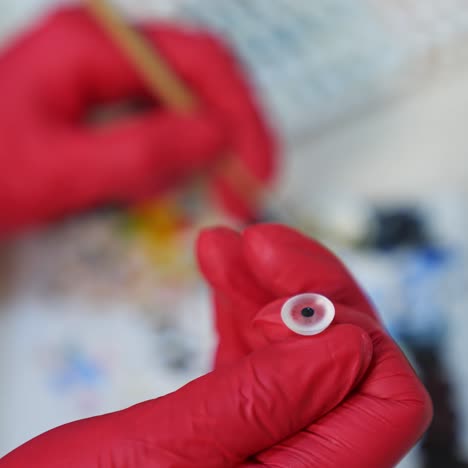 anatomical model of eyeball