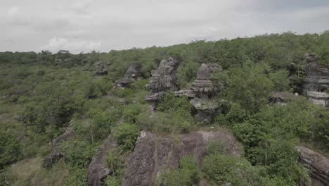 artes rupestres antiguas en montañas de mesa en la selva amazónica en colombia