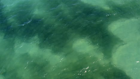 aerial drone top view shot of beautiful incredible turquoise clear ocean water with shapes of seaweed at the tropical bessa beach in the coastal capital city of joao pessoa, paraiba, brazil