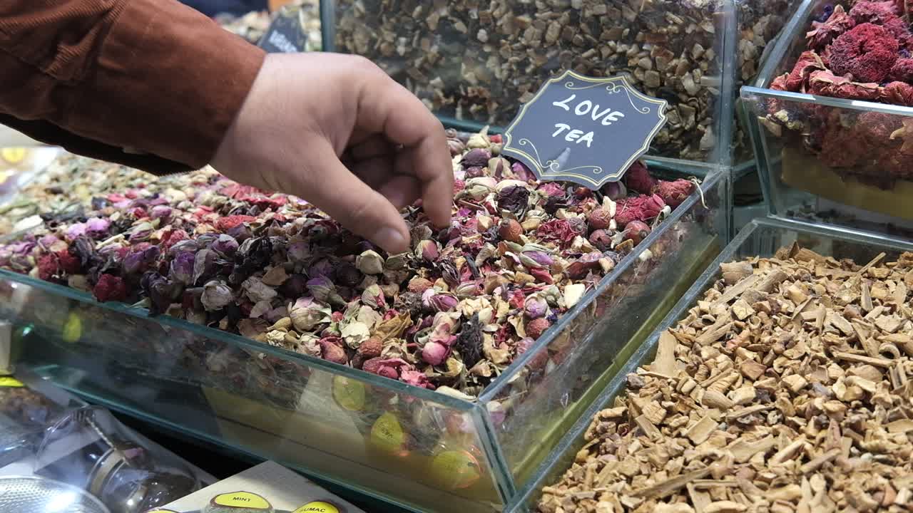 갈색 잎을 가진 산책하는 숲