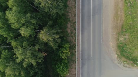 forest road aerial view