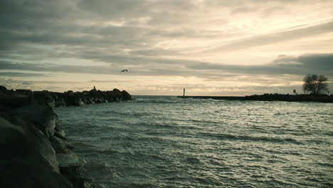 Ave-Marina-Volando-Sobre-El-Hermoso-Muelle-Costero-Y-Hacia-El-Cielo-Del-Atardecer