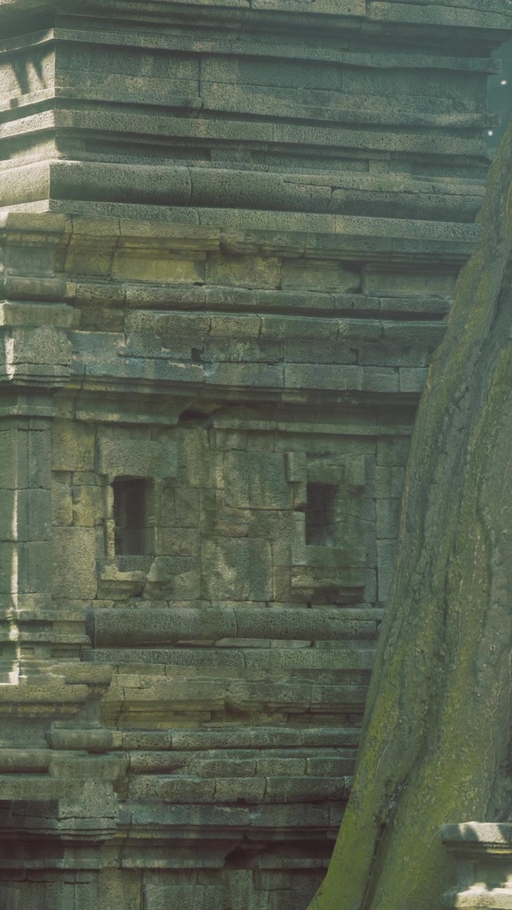 Antiche rovine di un tempio avvolte nel mistero e nell'abbraccio della natura.