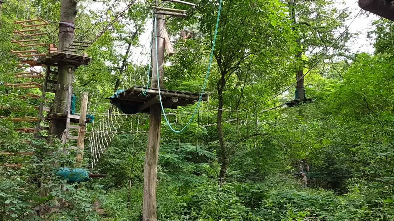 vista panorámica durante el día de la escalada y la línea de sorbo de árboles en el bosque alemán