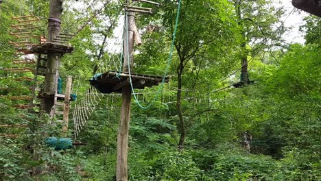 Schwenkansicht-Zur-Tageszeit-Des-Kletterns-Und-Der-Baumschlupflinie-Im-Deutschen-Wald