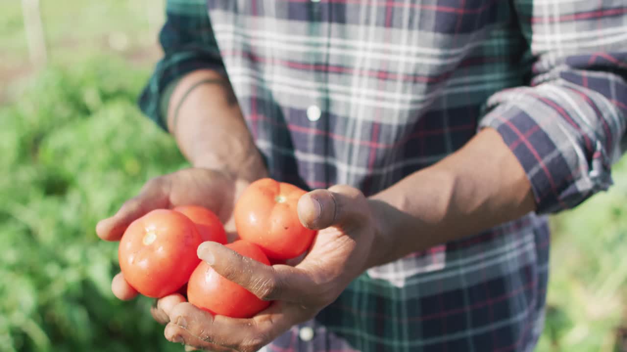 토마토를 들고 있는 행복한 아프리카계 미국인 남자의 비디오