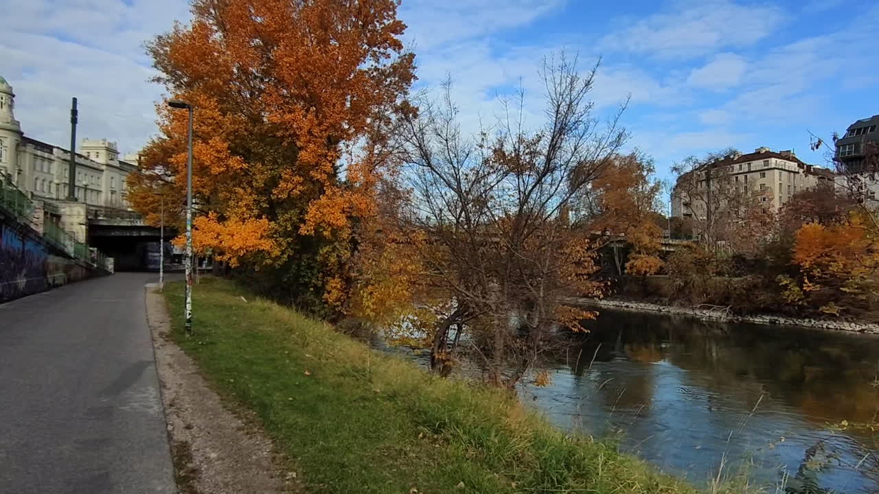caminando por la orilla del danubio con hermosas vistas del paisaje otoñal en viena, austria