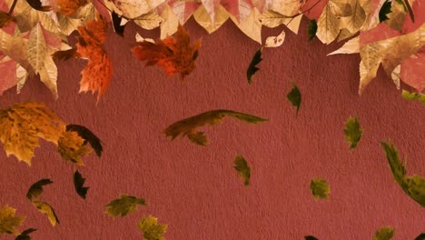 Animation-of-multiple-autumn-leaves-falling-on-brown-background