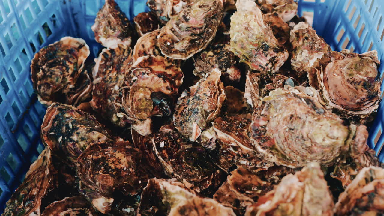 Crate full of oysters at a seafood market, with visible handling and layered shells