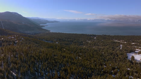flyover douglas fir trees and towards lake tahoe in nevada on a gorgeous winter day