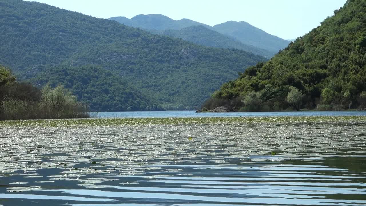 Lake Skadar or Lake Scutari, on the border of Albania and Montenegro, the largest lake in Balkan Peninsula