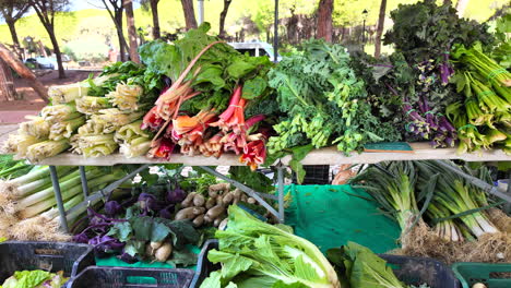 mercado de agricultores orgánicos con verduras frescas de la granja local, verduras y verduras biológicas saludables para la venta, tiro de 4k