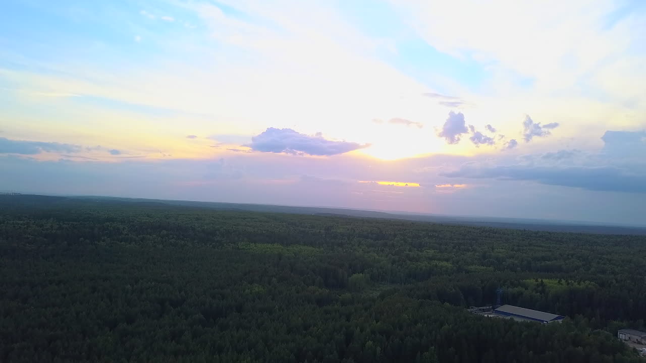 소나무 숲 위 의 해 가 지는 것
