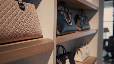 collection of luxury handbags displayed on wooden shelves