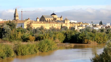 static view from san rafael bridge on cordoba cathedral